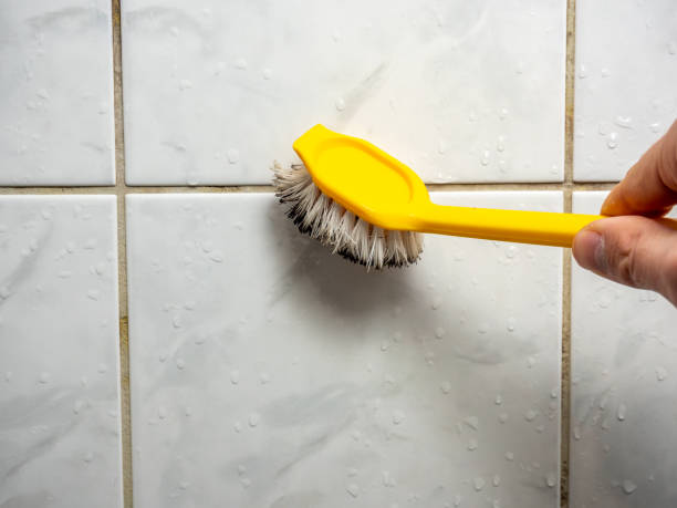 Best Black Mold Removal  in Woods Hole, MA