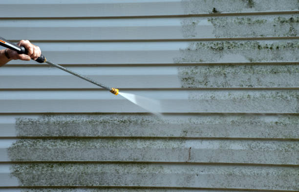 Best Professional Mold Removal  in Woods Hole, MA