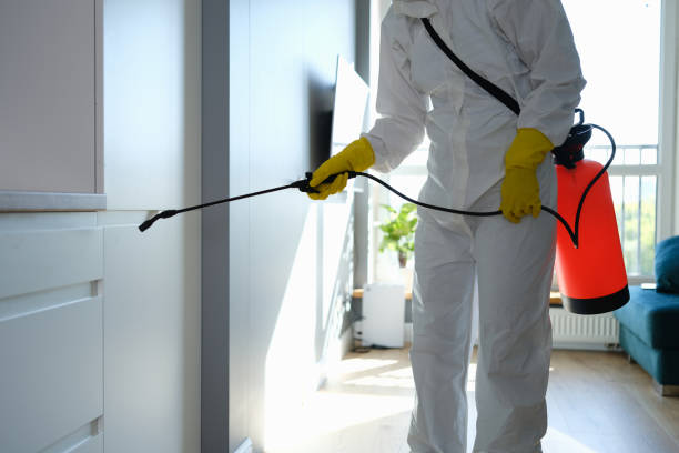 Best Certified Mold Removal  in Woods Hole, MA