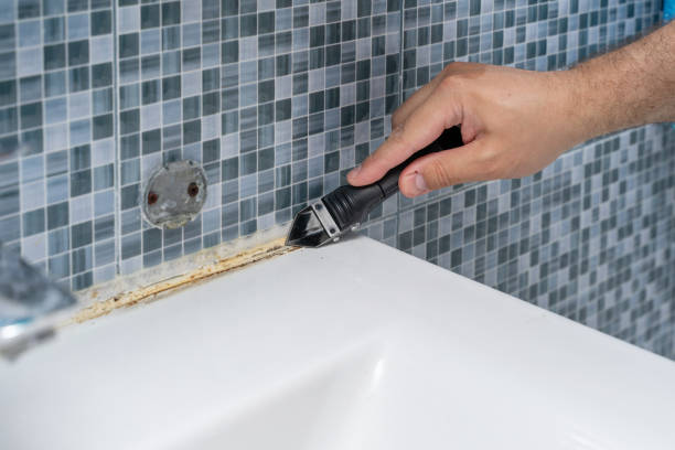 Best Toxic Mold Removal  in Woods Hole, MA